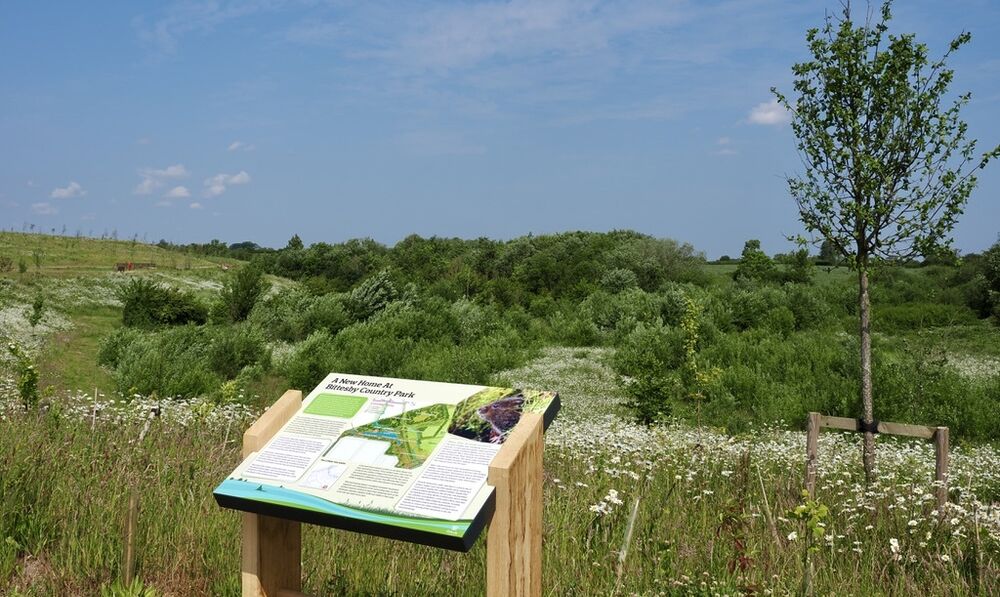 The vital role of Green Infrastructure in Logistics Parks