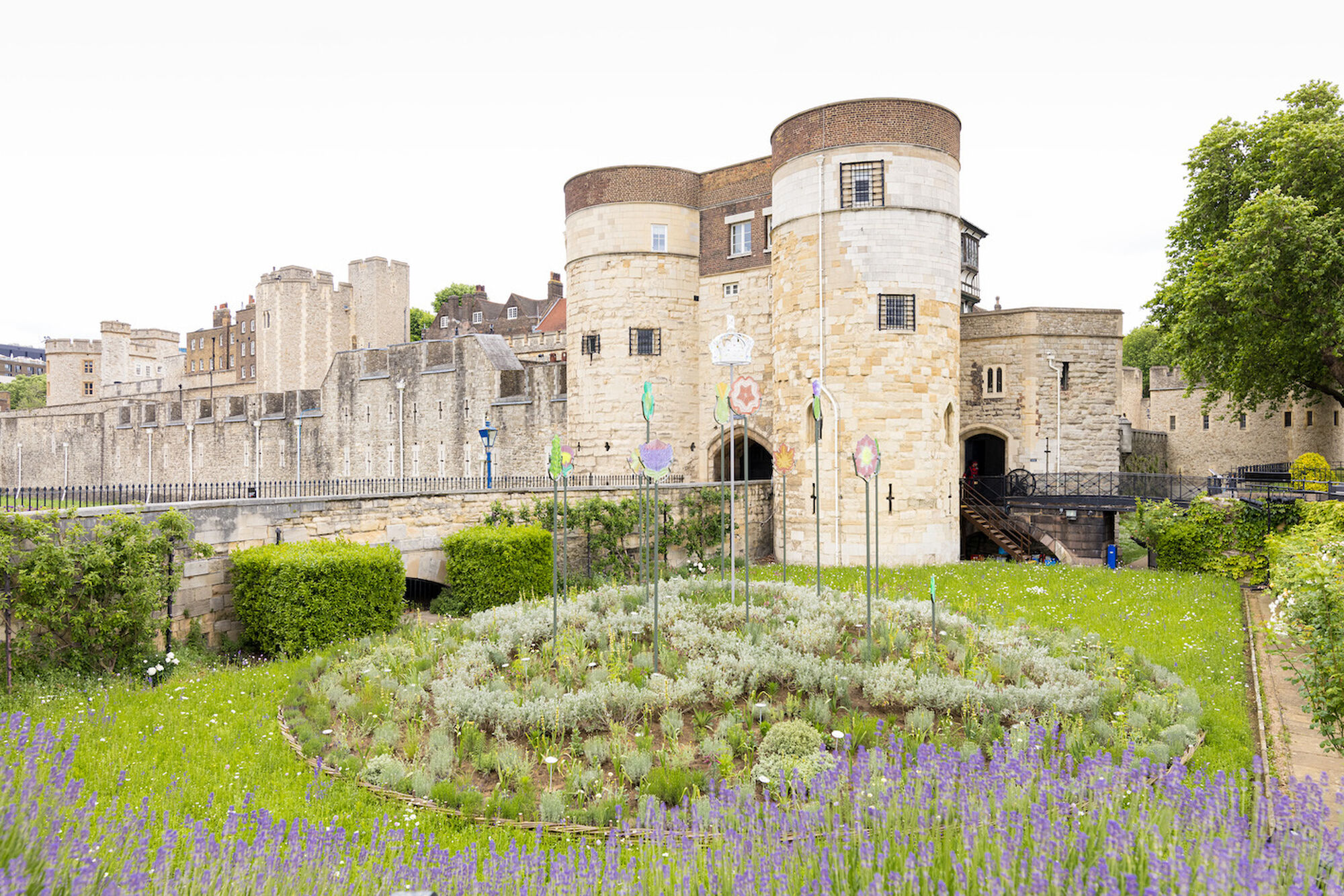 A Royal Opportunity: Designing the Tower of London Superbloom and the Queen’s Garden