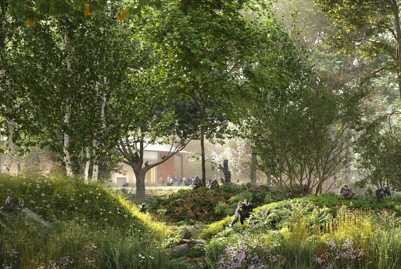 Planning approval secured for Bristol Zoo Project… | Grant Associates