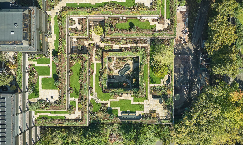 New Film Released Showcasing the Restoration of Plant, Basingstoke