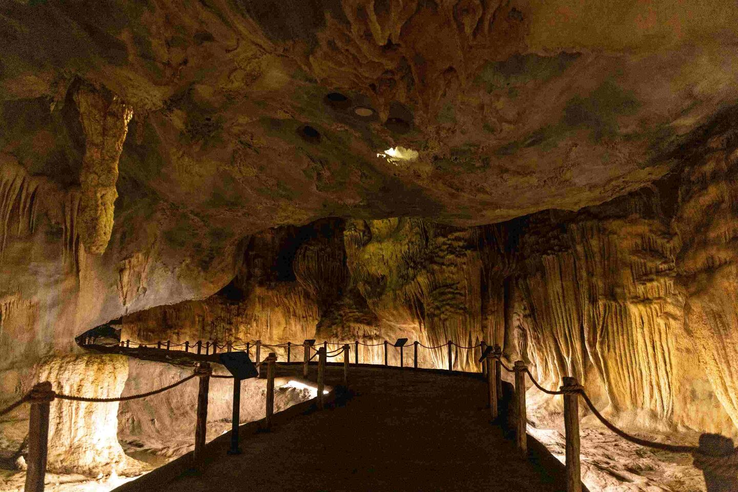 Rainforest Wild Asia A section of cave chambers at the Cavern Photo Credit Mandai Wildlife Group