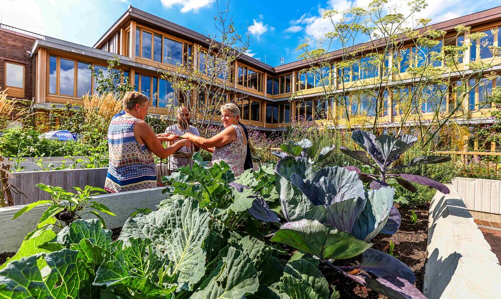Landscape Cities: Why flourishing nature is essential in urban spaces