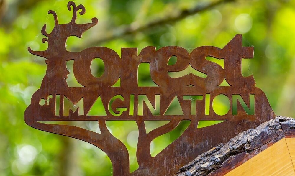 Forest of Imagination Set to Transform Entry Hill as an immersive Art-Nature-Community Park