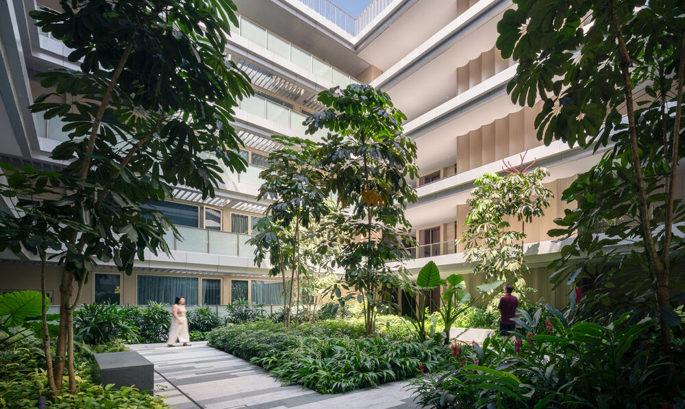 The reef at King’s Dock: rewilding urban life on Singapore’s waterfront