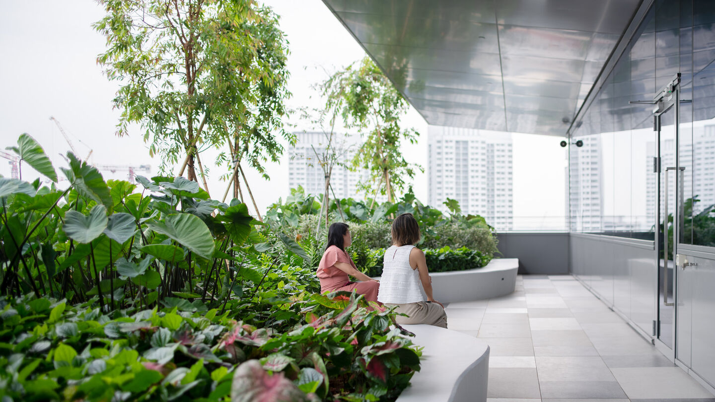 063 GA ELEMENTUM low res