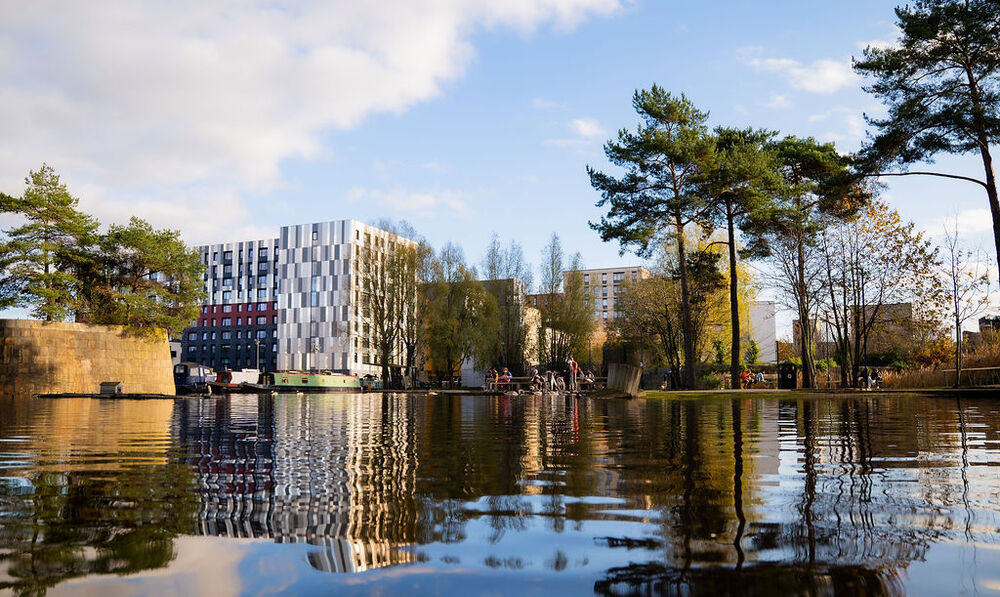 15 years of Cotton Fields Park: landscape at the heart of regeneration