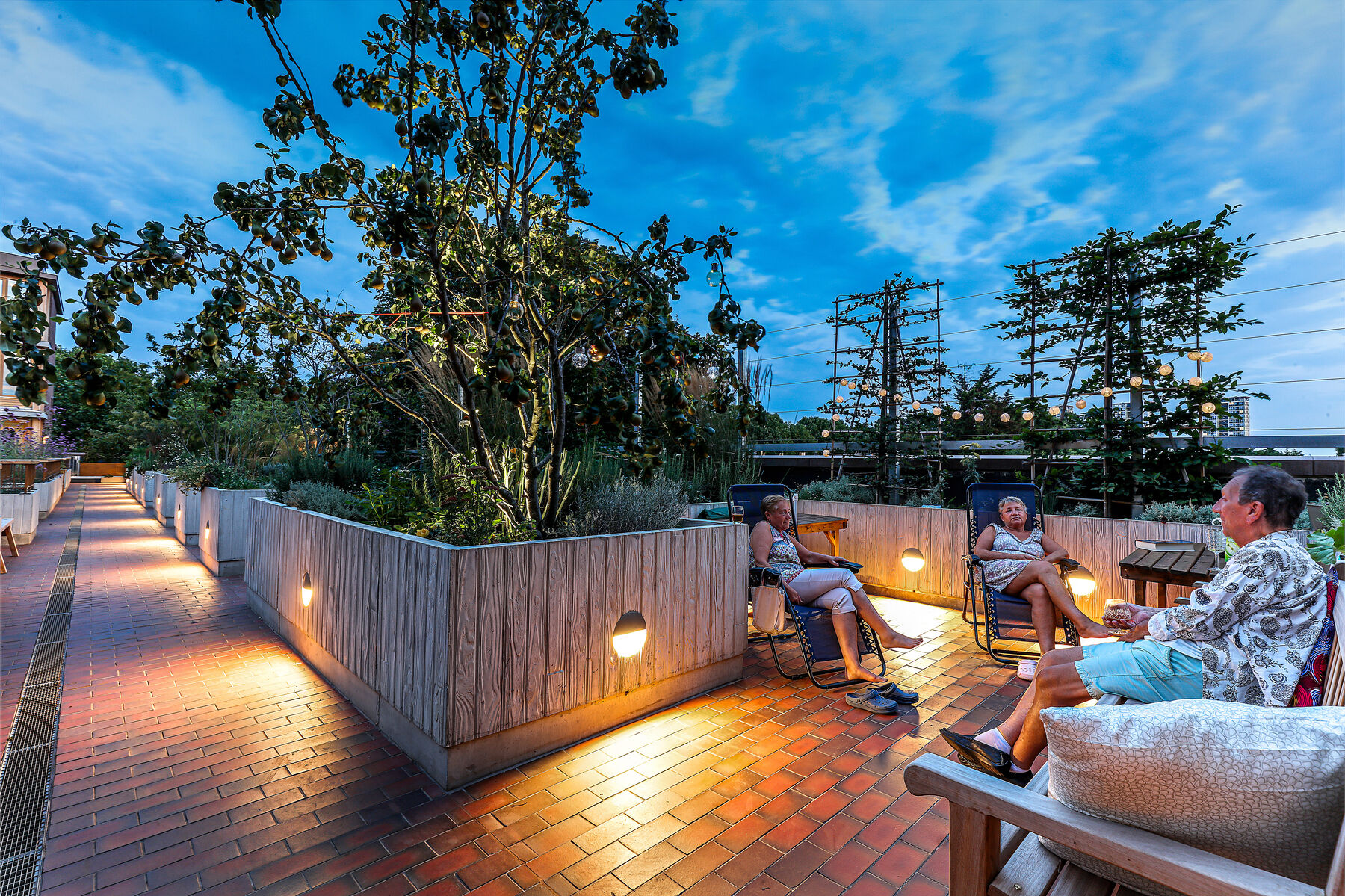 1 TOP5 GODDARDS Roof Garden LR