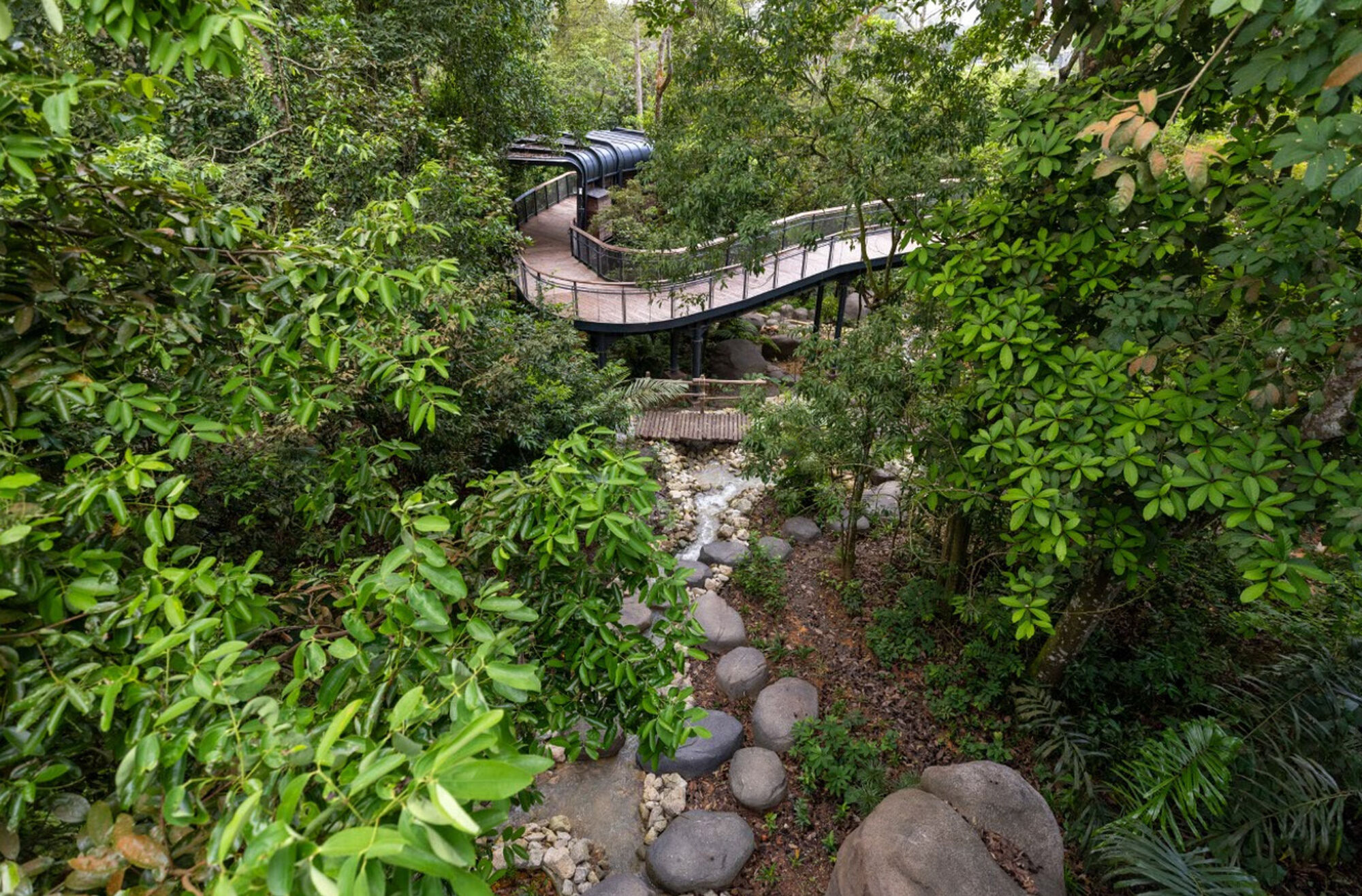 CAT6 RWA Multi layered Paths Mandai Wildlife Group