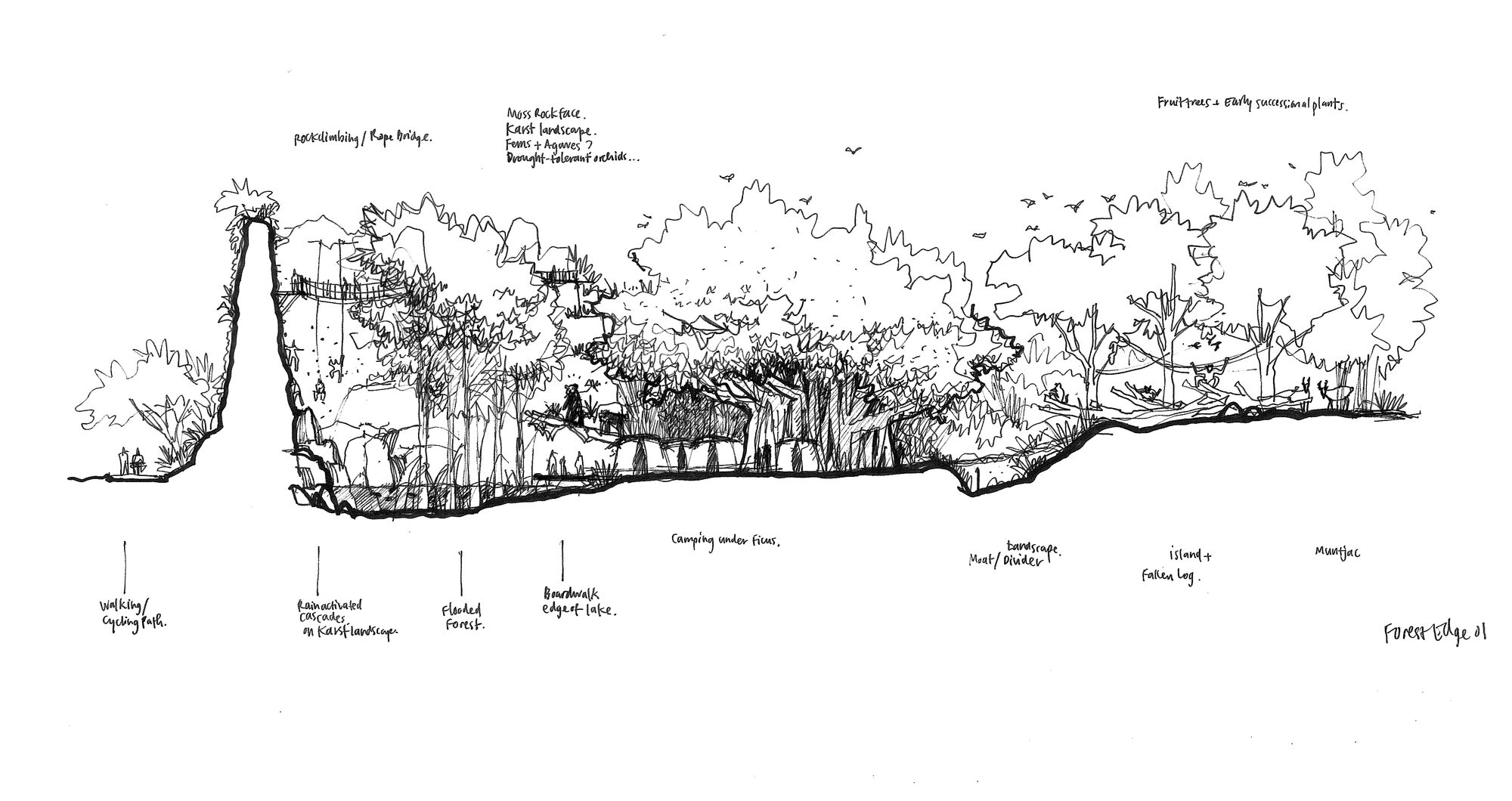 CAT6 RWA Sketch FOREST EDGE 01