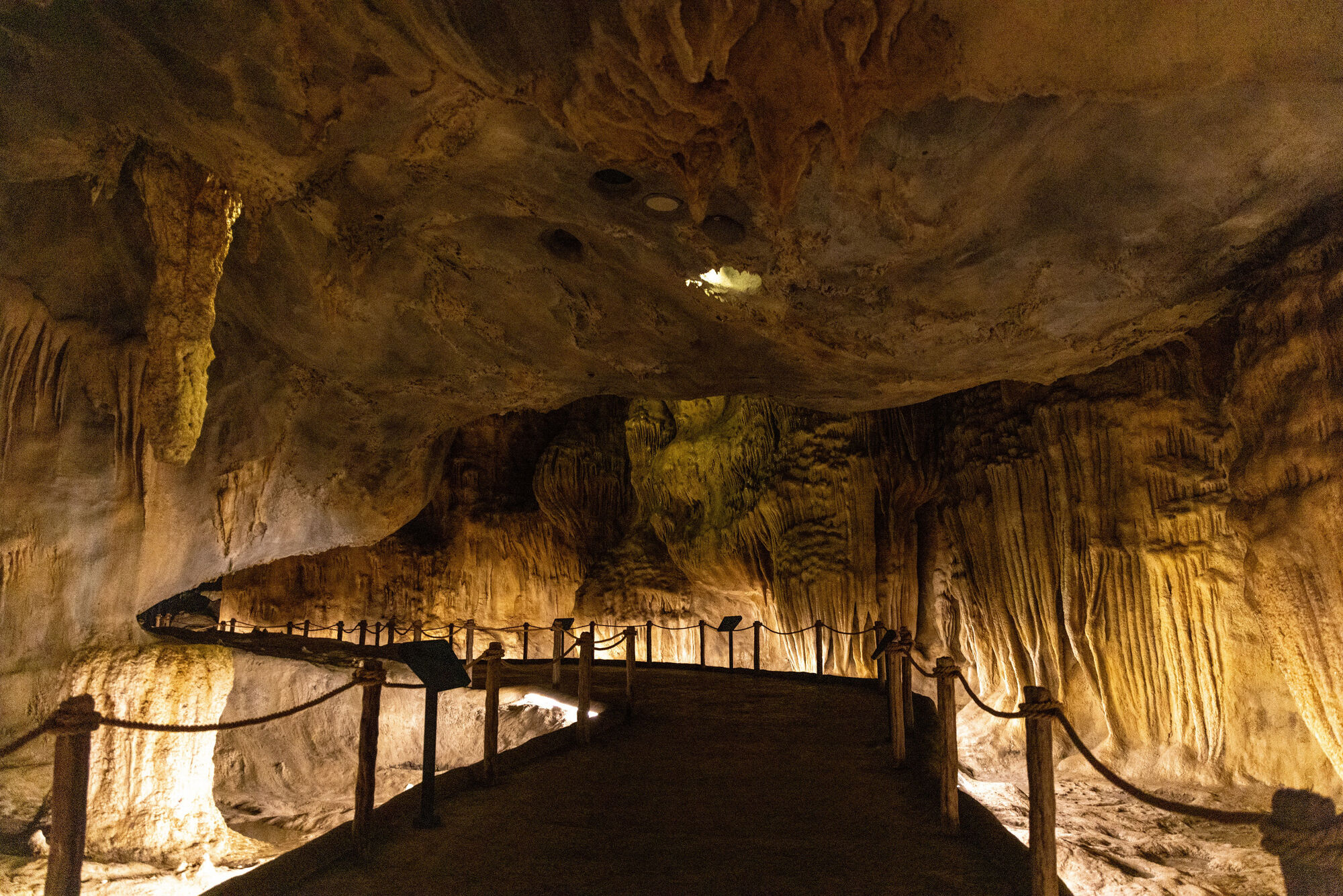 CAT6 RWA The Cavern Chamber Mandai Wildlife Group