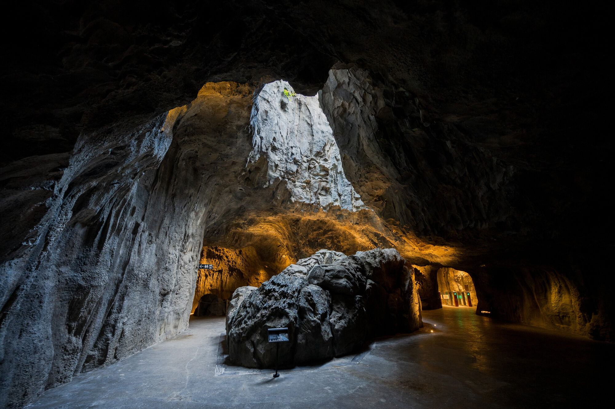 CAT6 RWA The Cavern Oculus Mandai Wildlife Group