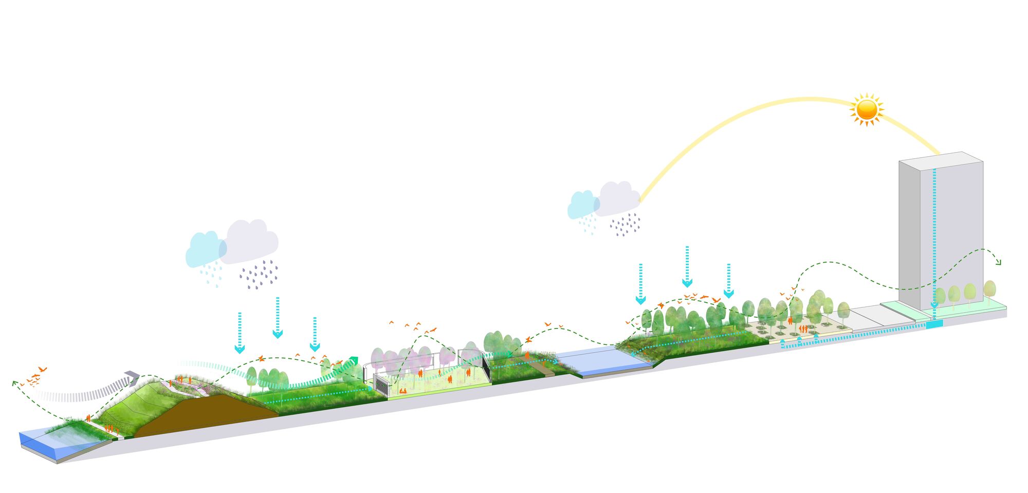 CAT5 TFG Environmental Strategy Diagram