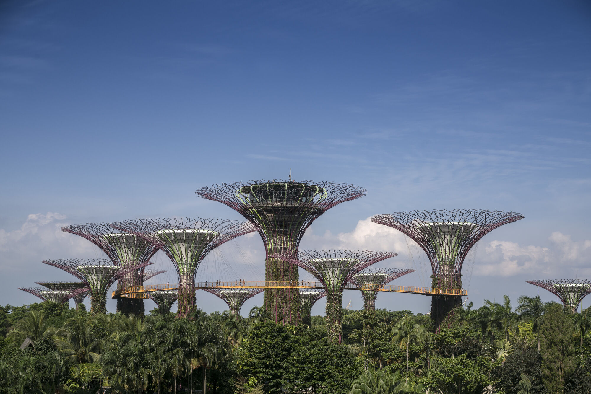 '10 Years of Growing Wonders' celebrates sizeable impact of Gardens by the Bay in Singapore