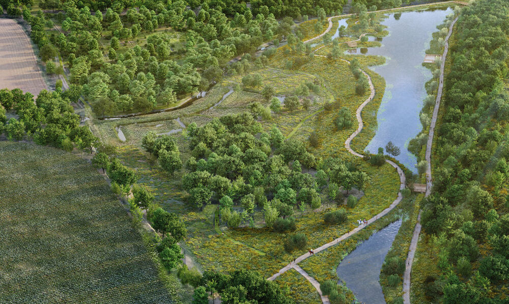 Ecological landscape plans move forward at pace for Lutterworth’s Magna Park