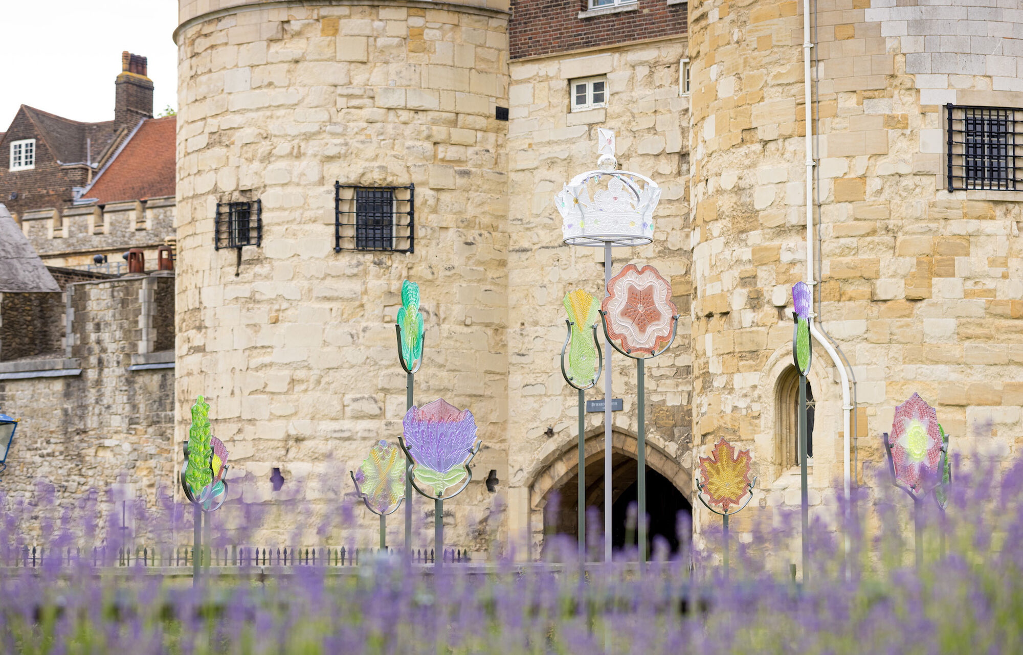 Celebratory Superbloom display opens at the Tower of London