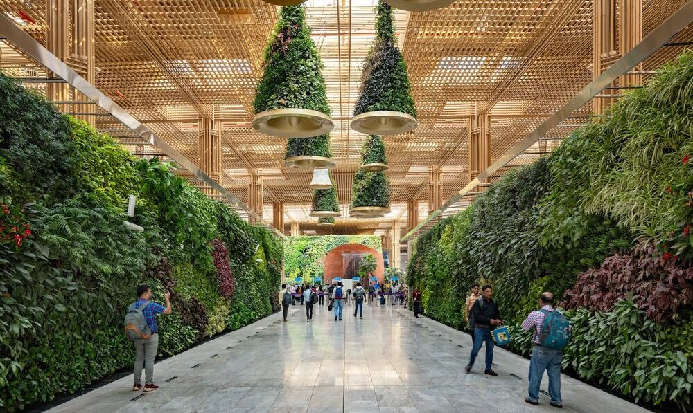 ‘Airport Terminal in a Garden’ in India welcomes first international passengers