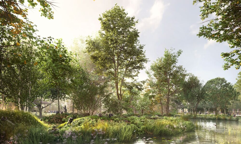 Planning approval secured for Bristol Zoo Project Central African Forest