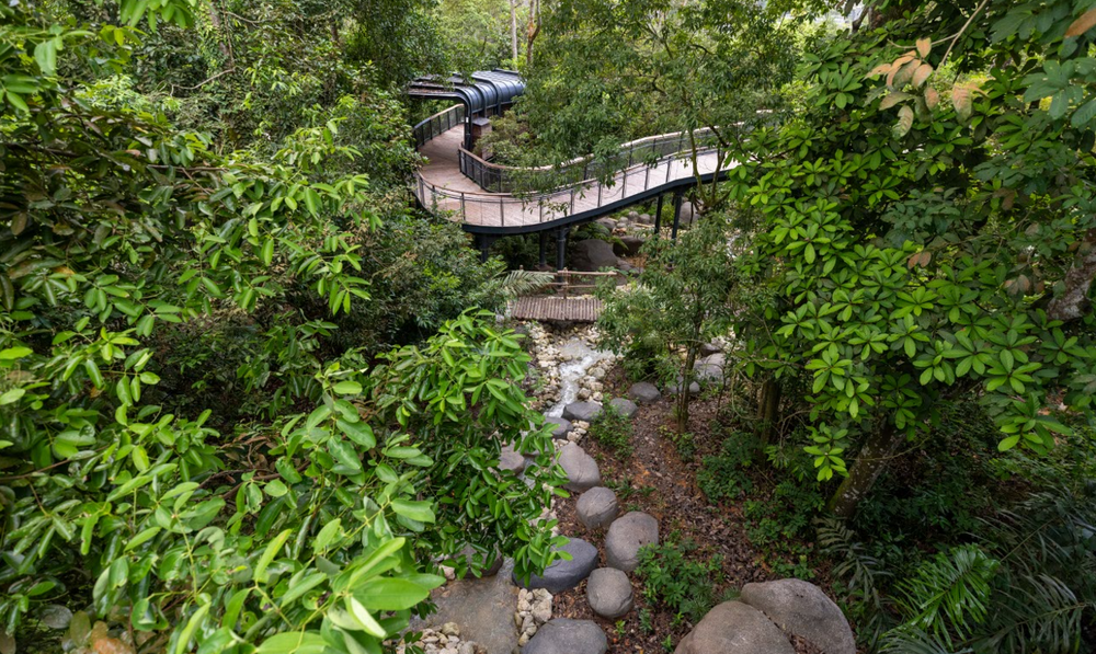 Immersive rainforest park co-designed by Grant Associates opens in Singapore